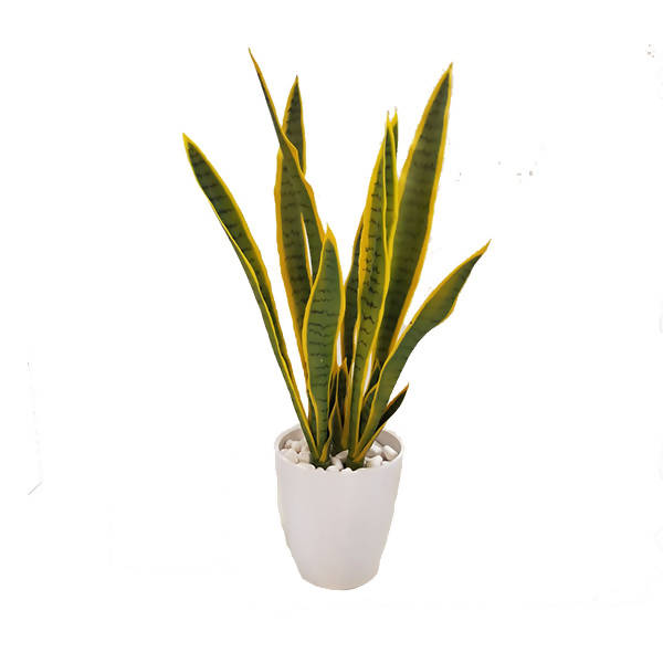 Artificial Potted Snake Plant (Sansevieria Trifasciata) (0.85m)