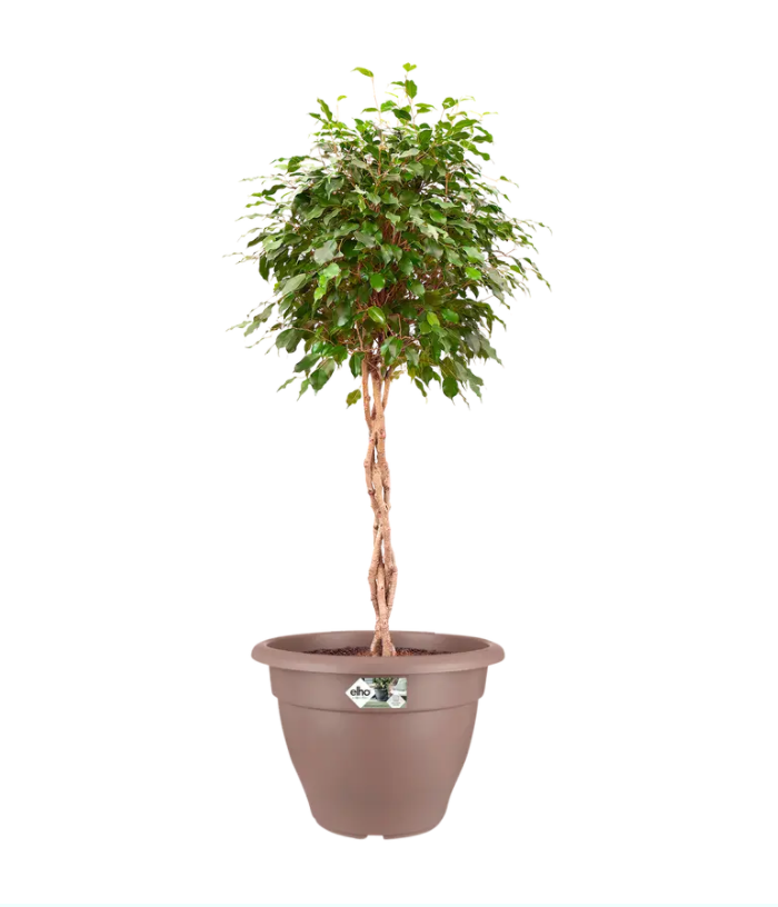 Torino Campana 50cm in Taupe