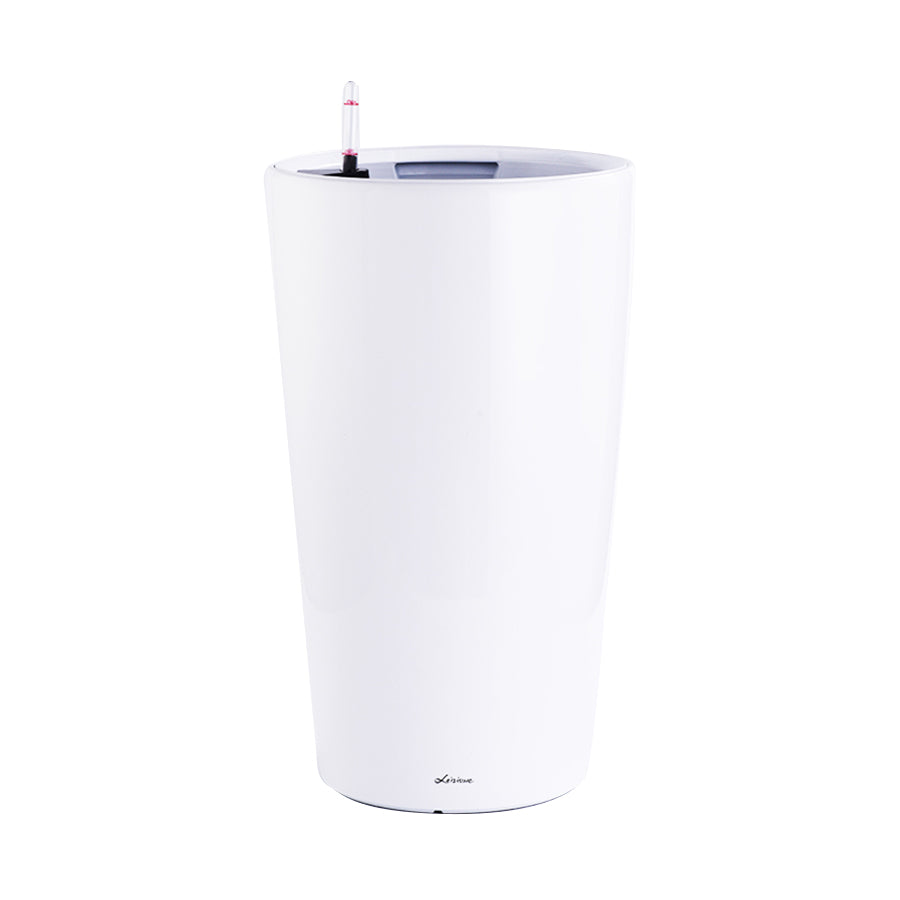 Bamboo Palm in White High Cylinder Series 39.5cm