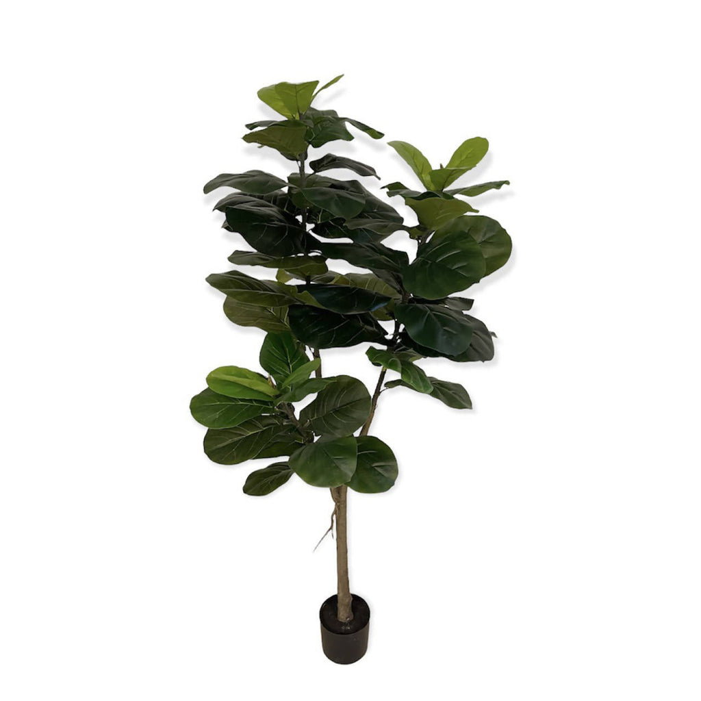Artificial Ficus Lyrata (1.50m)